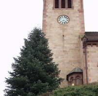 Grüne Zierde für Fischerbachs Kirche