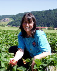 Süße Erdbeeren aus dem Kinzigtal