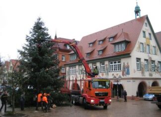 Förster Hans Schad bedankt sich für die Weihnachtsbaumspenden 2012