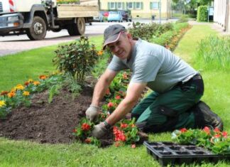 Startgärtnerei setzt in 2015 auf „Bewährtes und Neues“