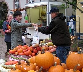 17ter Haslacher Kürbismarkt rund um den Marktplatz am Samstag