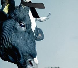 Martin Herrmann gastiert am 15. September in Haslach