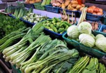 Kochvorführung „Regionale Winterküche“