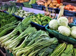 Kochvorführung „Regionale Winterküche“