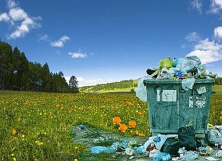 Inhalt der Grünen Tonne wird nachkontrolliert