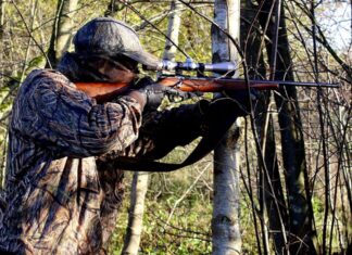 Am 1. April beginnt das neue Jagdjahr