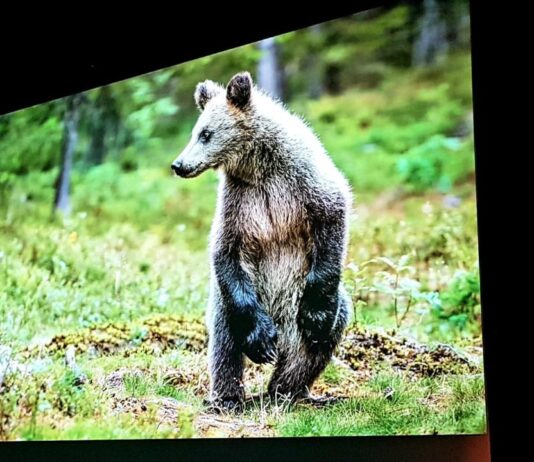 Unterwegs am Polarkreis