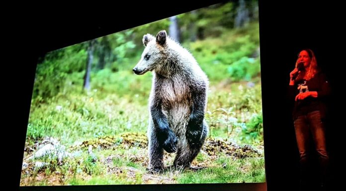 Unterwegs am Polarkreis