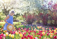 Ortenaukreis sucht schönste Frühlingsmotive aus der Region