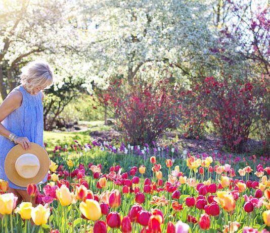 Ortenaukreis sucht schönste Frühlingsmotive aus der Region