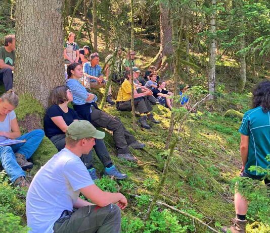 Ortenauer Wälder als Lernorte und Forschungsobjekte