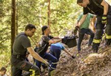 Jugendfeuerwehr Hornberg und Ortenaukreis sorgen für saubere Wälder