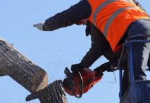 Gehölzrückschnitt an der B 33 bei Gengenbach