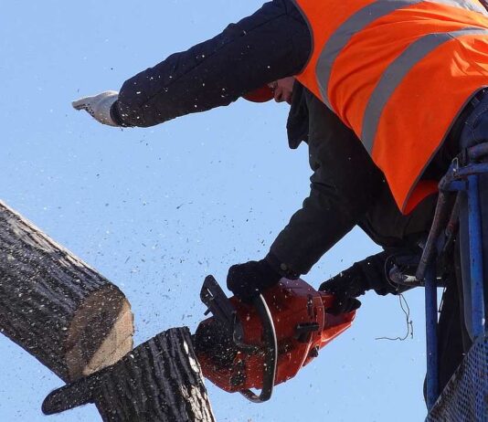 Gehölzrückschnitt an der B 33 bei Gengenbach