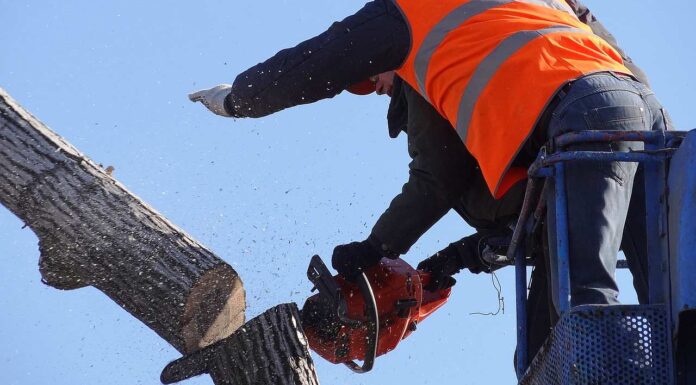Baumpflegearbeiten entlang Landesstraße am Ortseingang Zell a.H.