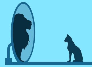 Nie mehr Opfer sein: Hilfe zur Selbsthilfe für Betroffene von narzisstischem Missbrauch