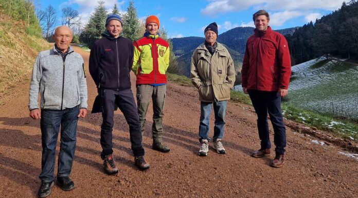 Ortenaukreis stellt über fünf Kilometer neue Waldwege in Gutach fertig