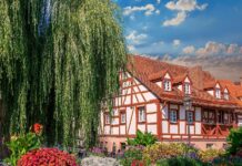 Online-Seminar zeigt Strategie für Urlaubshöfe