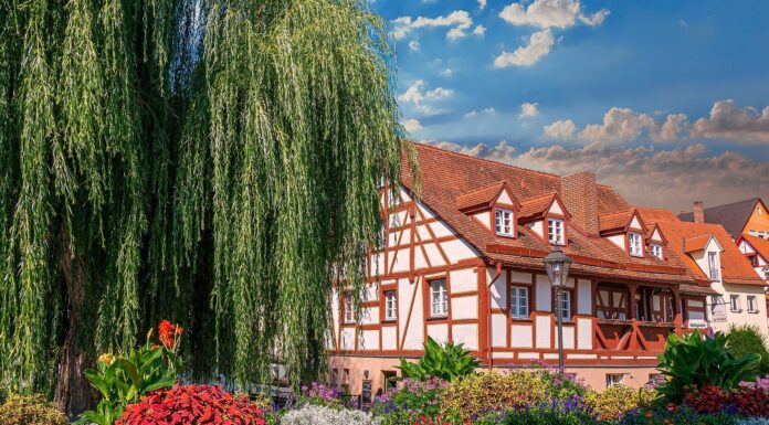 6. Landesweiter Erfahrungsaustausch für Ferienhöfe