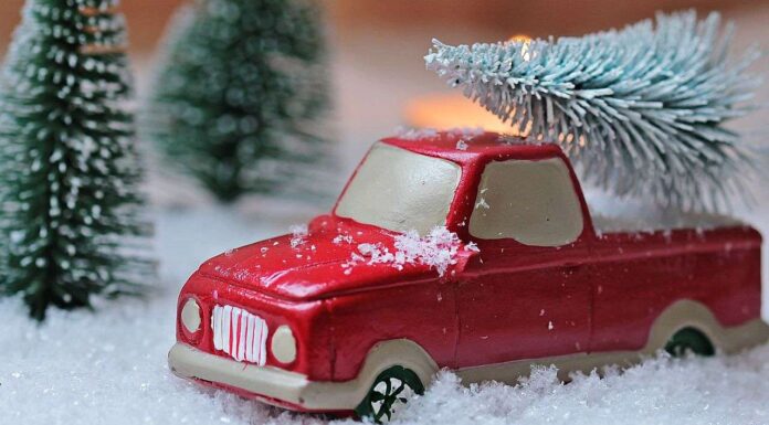 Weihnachtsbäume kostenlos auf den Wertstoffhöfen entsorgen