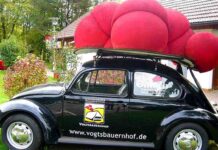 Schwarzwald bleibt Magnet: Ortenaukreis verzeichnet touristische Rekordzahlen