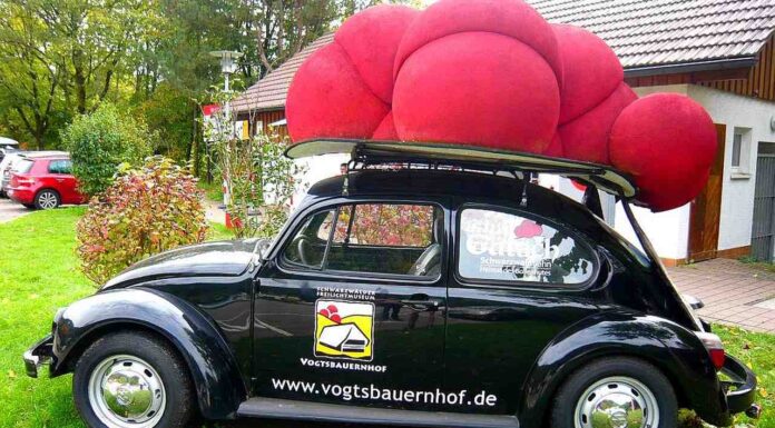 Gutach in Feierlaune: 60 Jahre Freilichtmuseum mit großem Bürgerfest