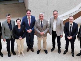 Neue Masten schließen Netzlücken in Fischerbach und Wolfach