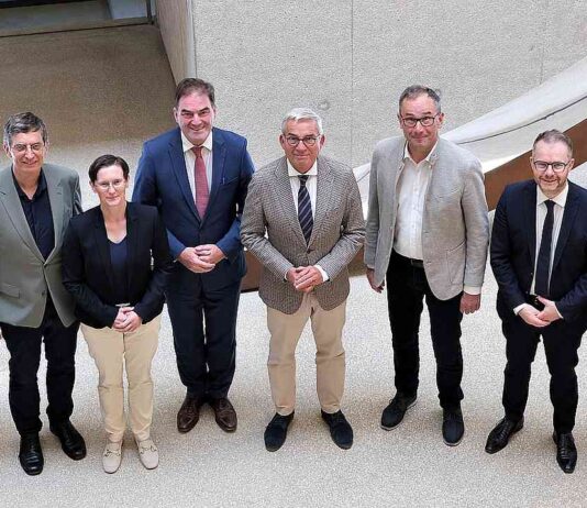 Neue Masten schließen Netzlücken in Fischerbach und Wolfach