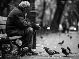 Verlorene Nähe: Neuer Treffpunkt für Austausch und Verständnis