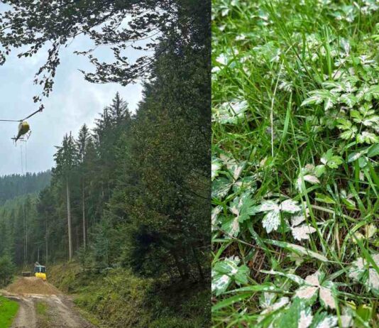 Regenerationsorientierte Bodenschutzkalkung in Wolfach, Oberwolfach abgeschlossen
