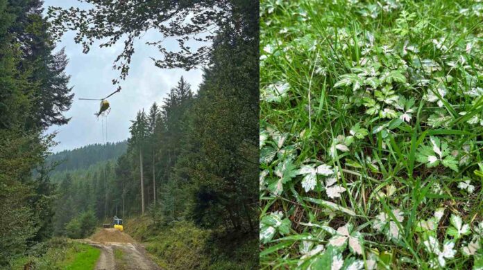 Aktuelles - kinzigtal.de Aktuelles - kinzigtal.de