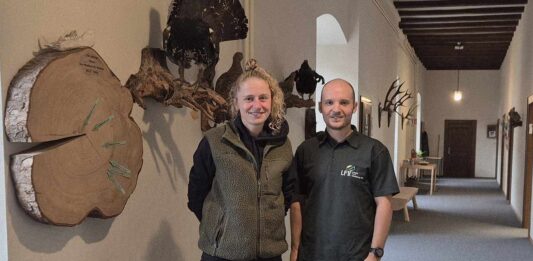 Rebecca Belle führt künftig das Forstrevier Steinach