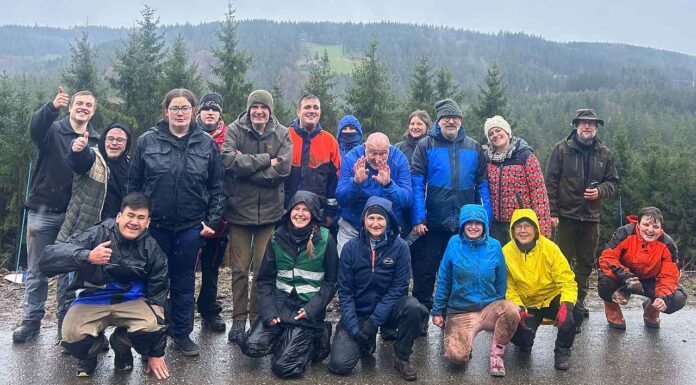 Inklusives Pflanzprojekt für einen Wald mit Zukunft