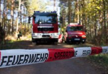 Ein Funke reicht: In der Ortenau steigt die Waldbrandgefahr