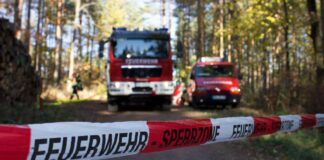 Ein Funke reicht: In der Ortenau steigt die Waldbrandgefahr