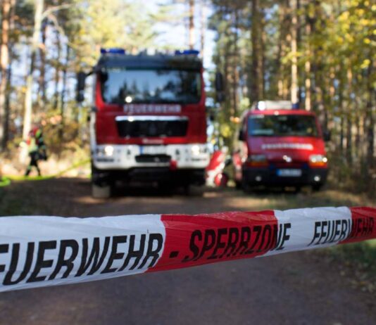 Ein Funke reicht: In der Ortenau steigt die Waldbrandgefahr