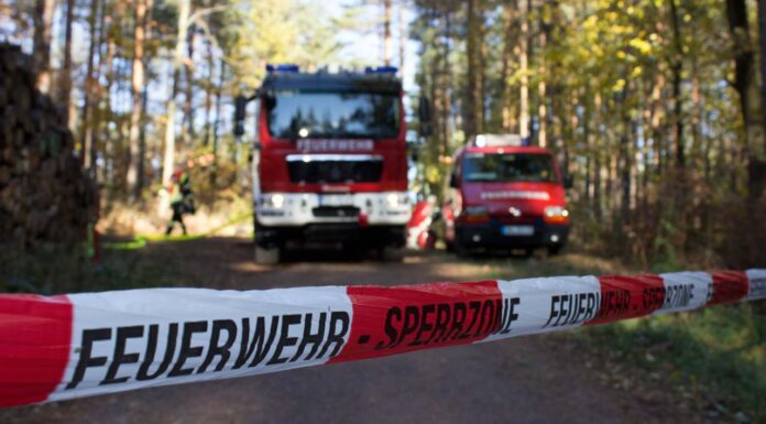 Ein Funke reicht: In der Ortenau steigt die Waldbrandgefahr