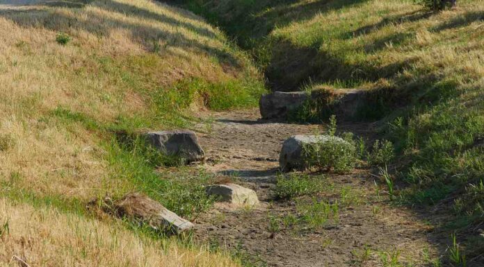 Bäche am Limit: Wer jetzt Wasser entnimmt, riskiert hohe Bußgelder