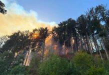 Mehr als 600 Helfer im Einsatz: Waldbrände weitgehend eingedämmt